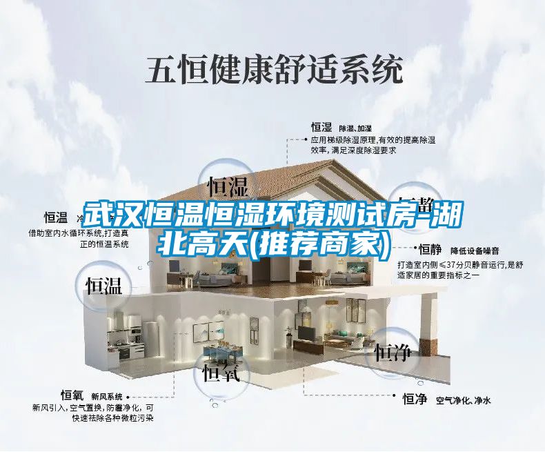 武漢恒溫恒濕環(huán)境測(cè)試房-湖北高天(推薦商家)
