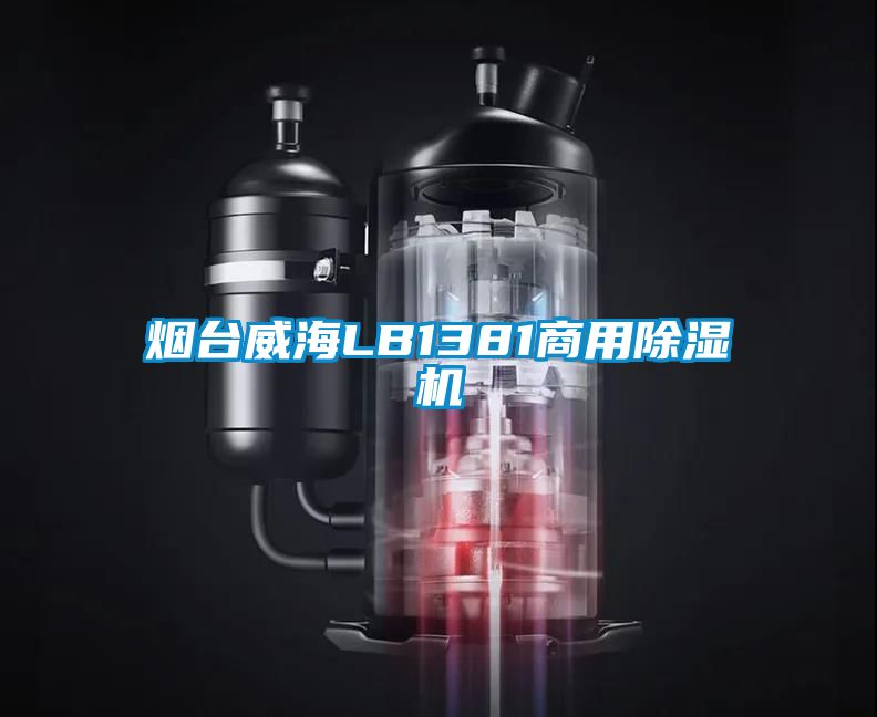煙臺(tái)威海LB1381商用除濕機(jī)