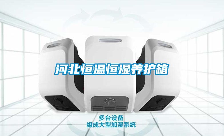 河北恒溫恒濕養(yǎng)護(hù)箱