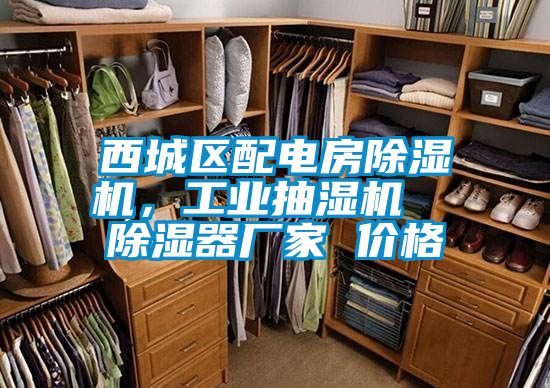 西城區(qū)配電房除濕機(jī)，工業(yè)抽濕機(jī)  除濕器廠家 價(jià)格