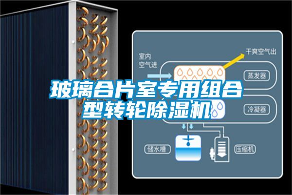 玻璃合片室專用組合型轉(zhuǎn)輪除濕機(jī)