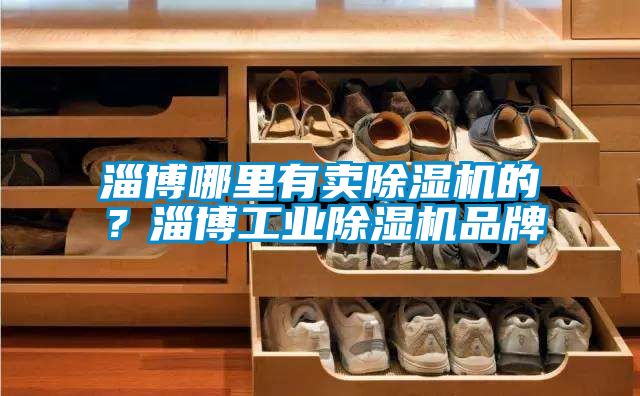 淄博哪里有賣除濕機的？淄博工業(yè)除濕機品牌