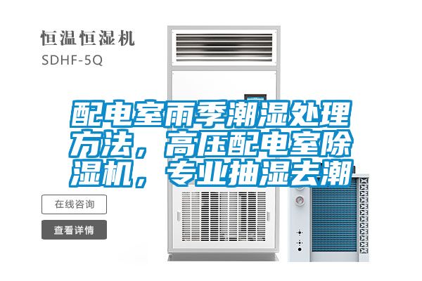 配電室雨季潮濕處理方法，高壓配電室除濕機(jī)，專業(yè)抽濕去潮