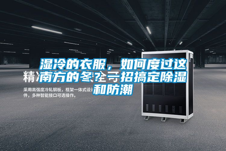濕冷的衣服，如何度過這南方的冬？一招搞定除濕和防潮