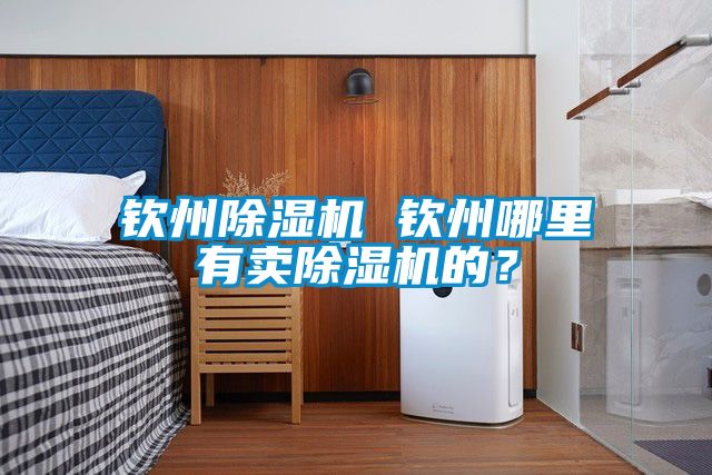 欽州除濕機 欽州哪里有賣除濕機的？