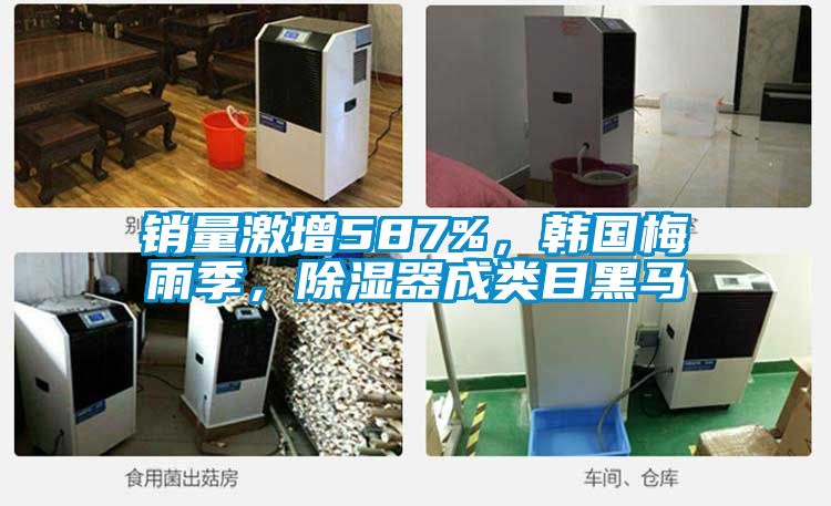 銷量激增587%，韓國梅雨季，除濕器成類目黑馬