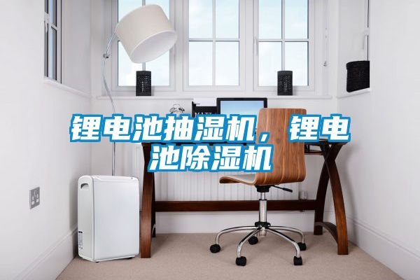 鋰電池抽濕機(jī)，鋰電池除濕機(jī)