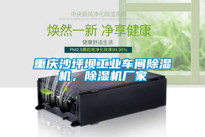 重慶沙坪壩工業(yè)車間除濕機，除濕機廠家