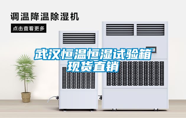 武漢恒溫恒濕試驗箱現貨直銷