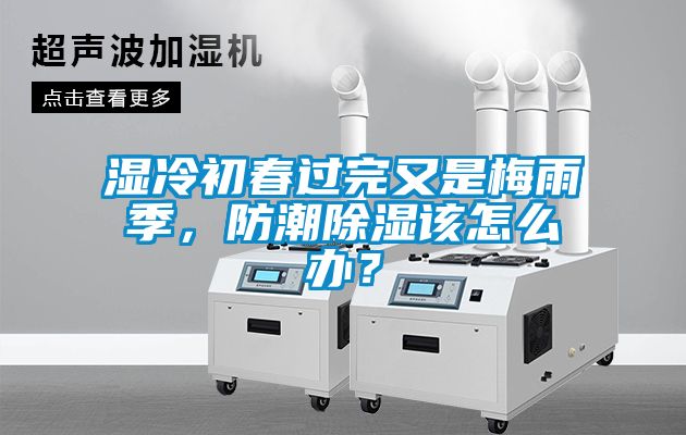 濕冷初春過完又是梅雨季，防潮除濕該怎么辦？