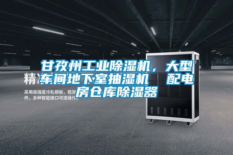 甘孜州工業(yè)除濕機(jī)，大型車間地下室抽濕機(jī)  配電房倉(cāng)庫(kù)除濕器