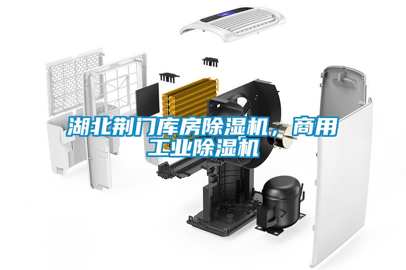 湖北荊門庫房除濕機，商用工業除濕機