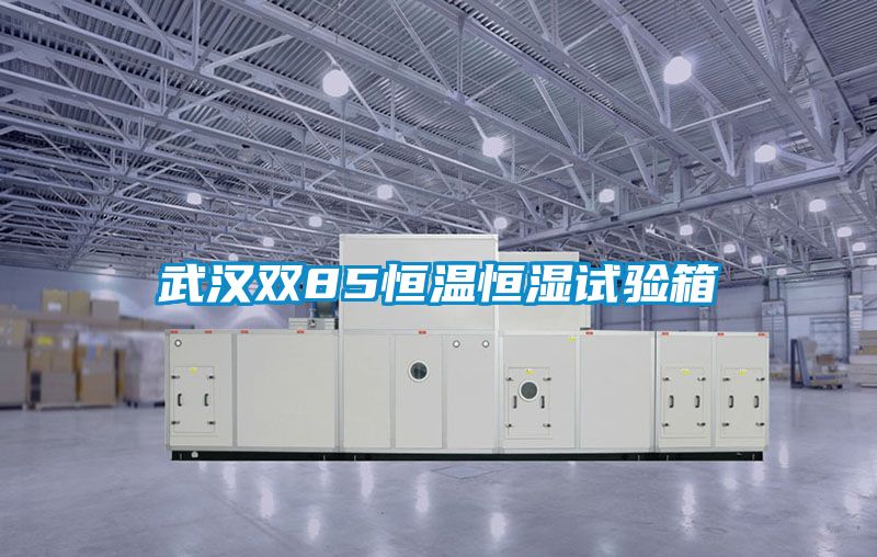 武漢雙85恒溫恒濕試驗(yàn)箱