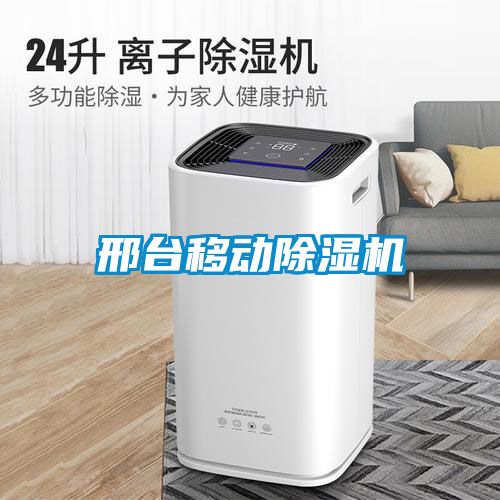 邢臺(tái)移動(dòng)除濕機(jī)