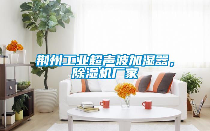 荊州工業(yè)超聲波加濕器，除濕機廠家