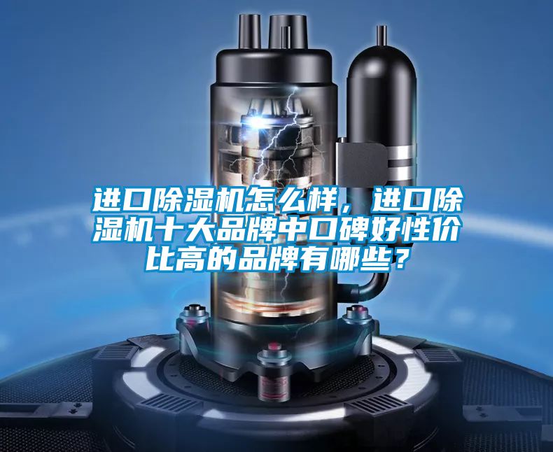 進口除濕機怎么樣，進口除濕機十大品牌中口碑好性價比高的品牌有哪些？