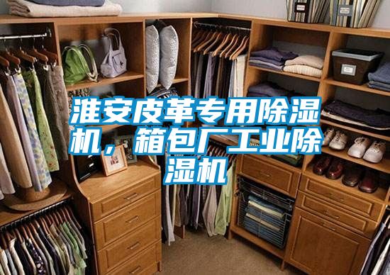 淮安皮革專用除濕機(jī)，箱包廠工業(yè)除濕機(jī)