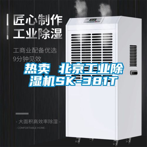 熱賣 北京工業除濕機SK-381T
