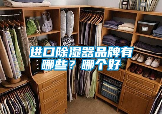 進口除濕器品牌有哪些？哪個好