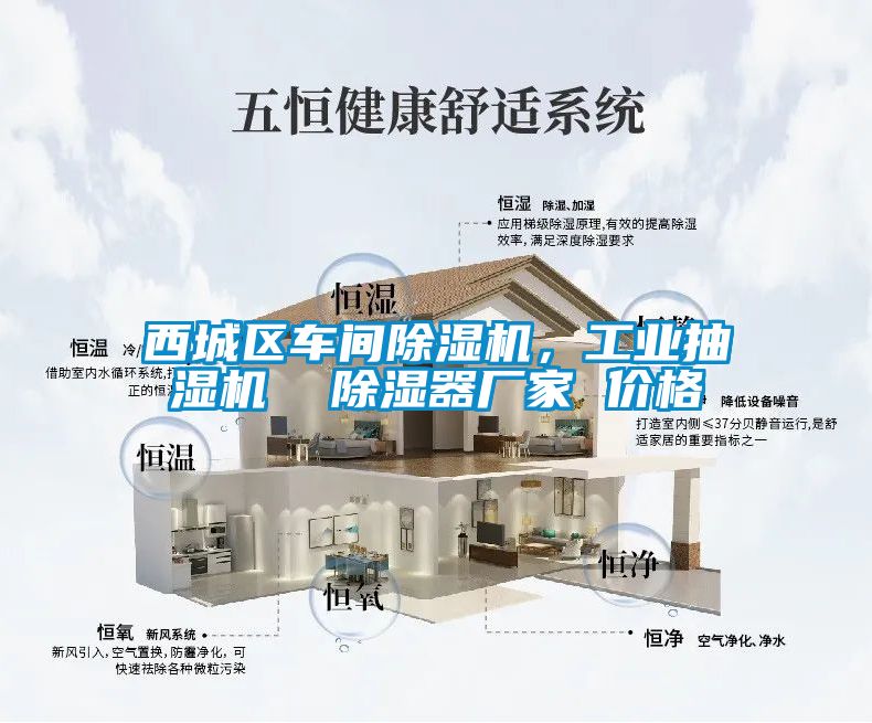西城區(qū)車間除濕機，工業(yè)抽濕機  除濕器廠家 價格
