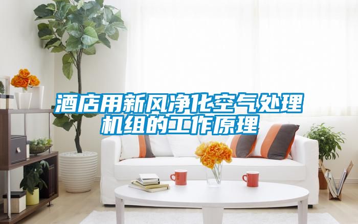 酒店用新風凈化空氣處理機組的工作原理