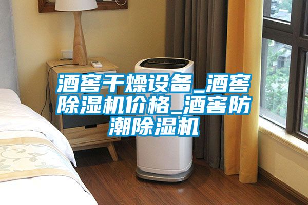 酒窖干燥設(shè)備_酒窖除濕機(jī)價(jià)格_酒窖防潮除濕機(jī)
