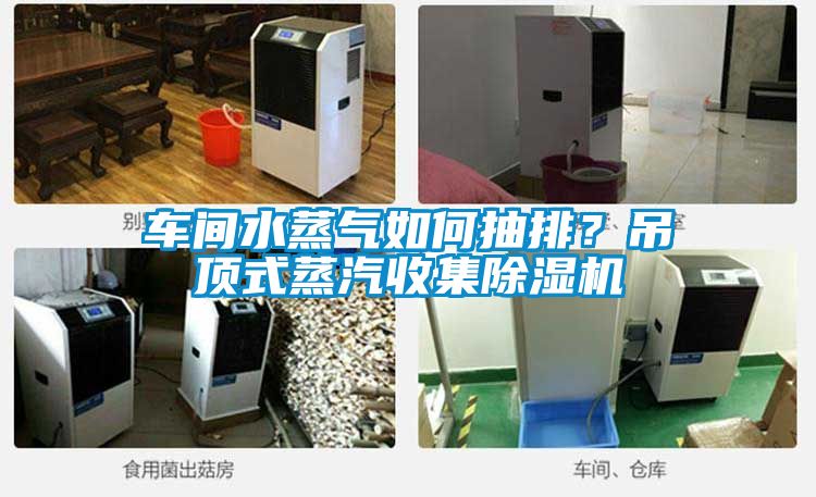 車間水蒸氣如何抽排？吊頂式蒸汽收集除濕機