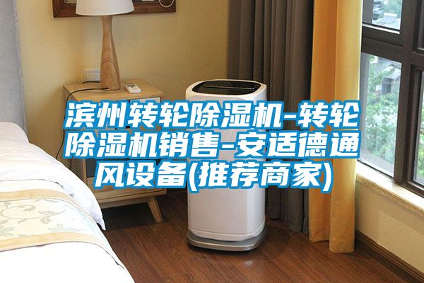 濱州轉(zhuǎn)輪除濕機(jī)-轉(zhuǎn)輪除濕機(jī)銷售-安適德通風(fēng)設(shè)備(推薦商家)