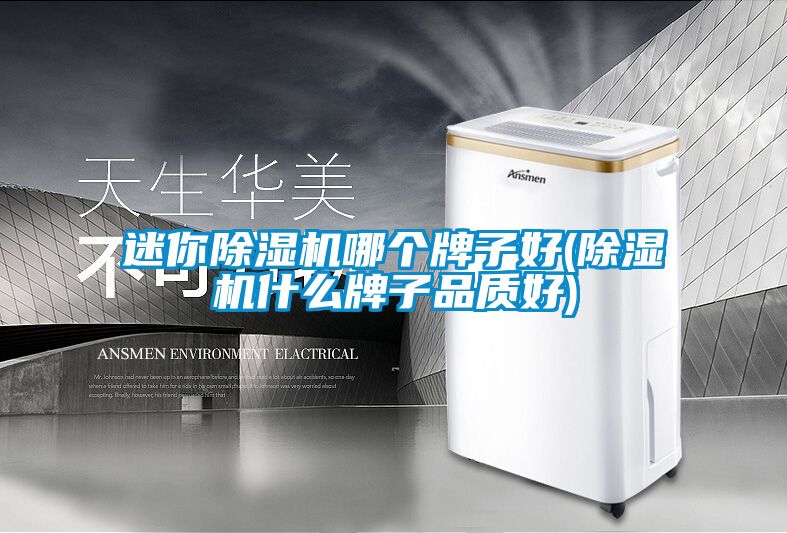 迷你除濕機哪個牌子好(除濕機什么牌子品質好)
