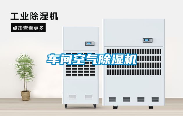 車(chē)間空氣除濕機(jī)
