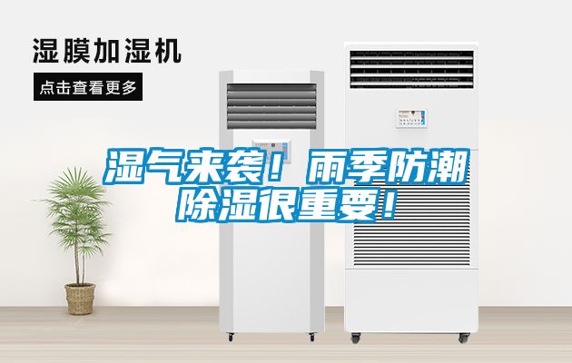 濕氣來(lái)襲！雨季防潮除濕很重要！