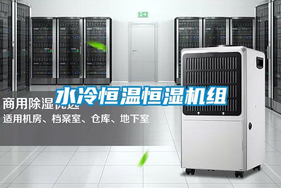 水冷恒溫恒濕機(jī)組