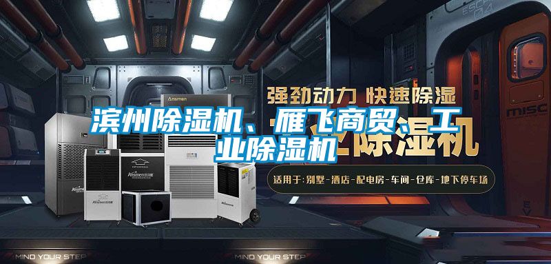 濱州除濕機、雁飛商貿(mào)、工業(yè)除濕機