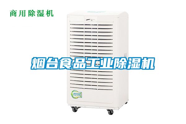 煙臺食品工業除濕機