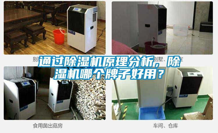 通過除濕機原理分析，除濕機哪個牌子好用？