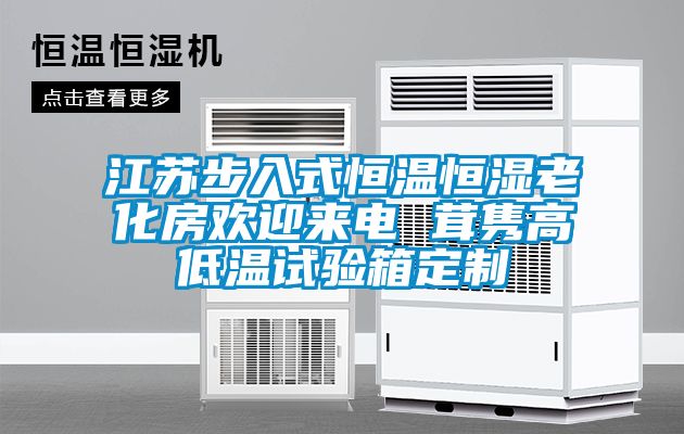 江蘇步入式恒溫恒濕老化房歡迎來電 茸雋高低溫試驗箱定制