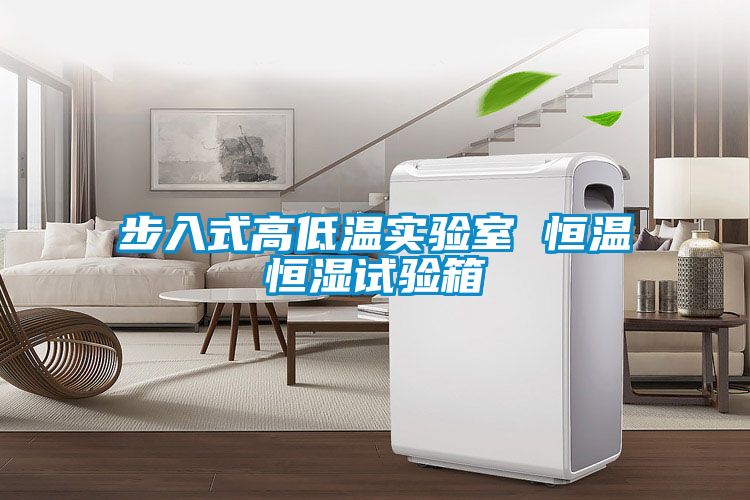 步入式高低溫實驗室 恒溫恒濕試驗箱
