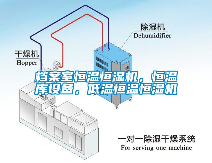 檔案室恒溫恒濕機(jī)，恒溫庫(kù)設(shè)備，低溫恒溫恒濕機(jī)