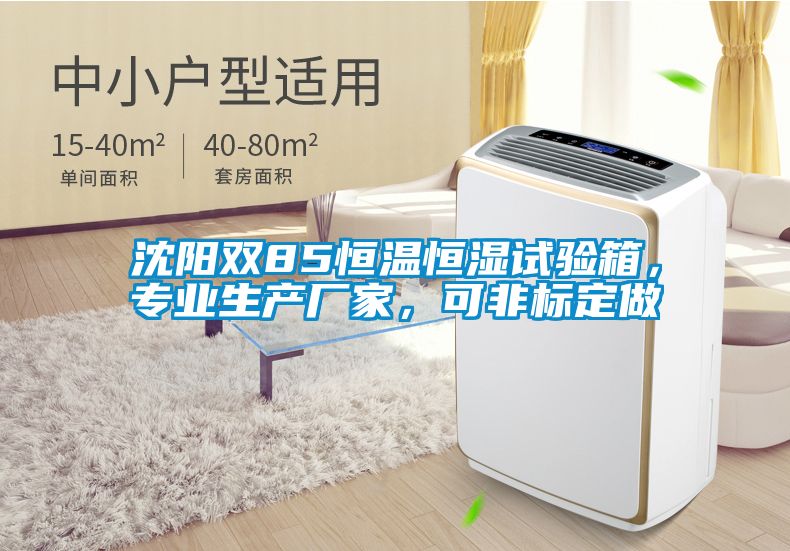 沈陽雙85恒溫恒濕試驗箱，專業(yè)生產(chǎn)廠家，可非標定做