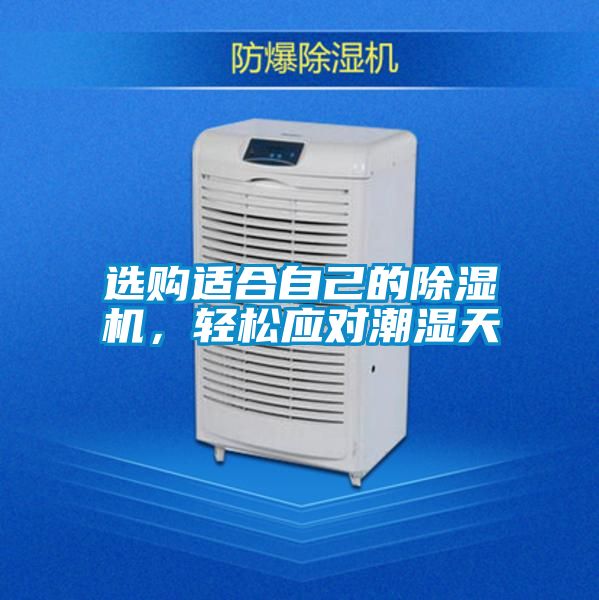 選購適合自己的除濕機，輕松應對潮濕天