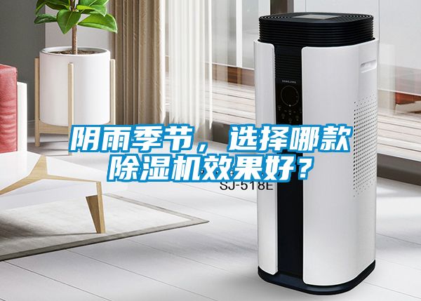 陰雨季節，選擇哪款除濕機效果好？