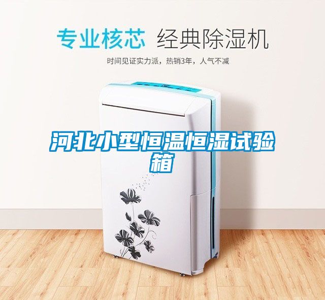 河北小型恒溫恒濕試驗(yàn)箱