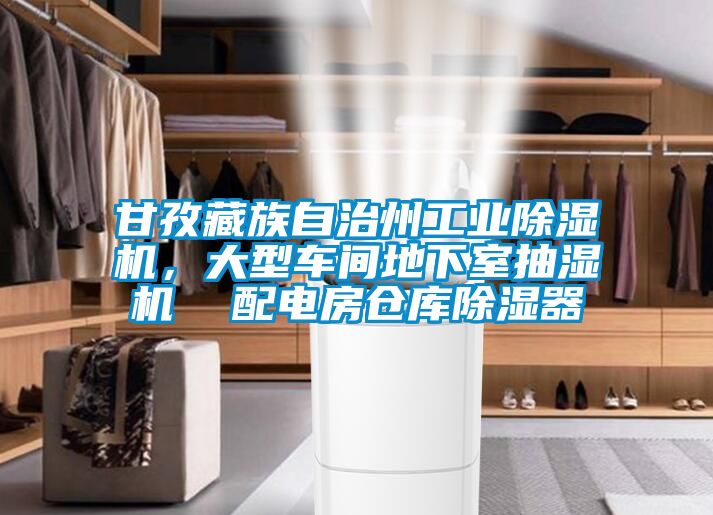 甘孜藏族自治州工業(yè)除濕機(jī)，大型車間地下室抽濕機(jī)  配電房倉(cāng)庫(kù)除濕器