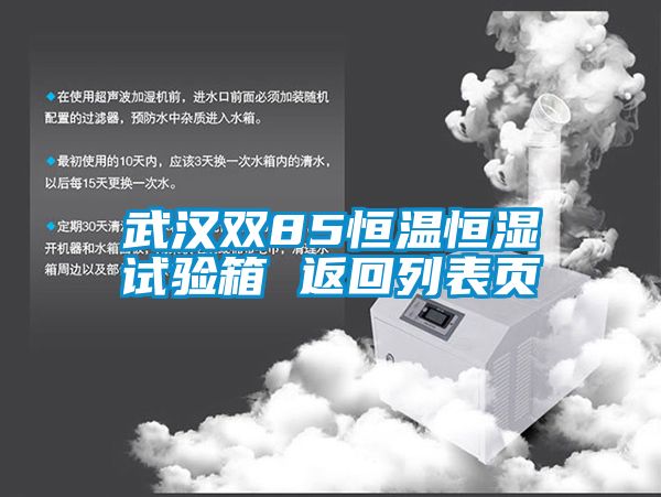 武漢雙85恒溫恒濕試驗(yàn)箱 返回列表頁(yè)