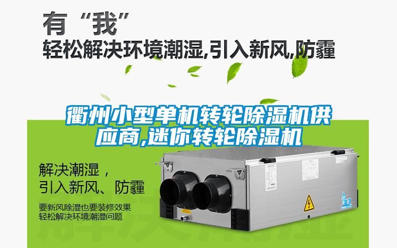衢州小型單機轉輪除濕機供應商,迷你轉輪除濕機