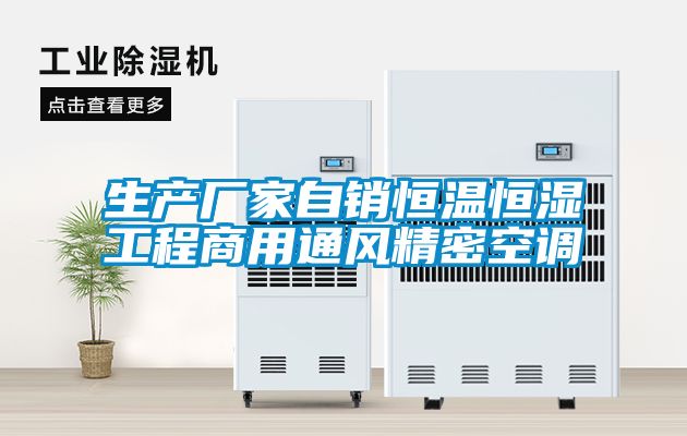 生產(chǎn)廠家自銷(xiāo)恒溫恒濕工程商用通風(fēng)精密空調(diào)