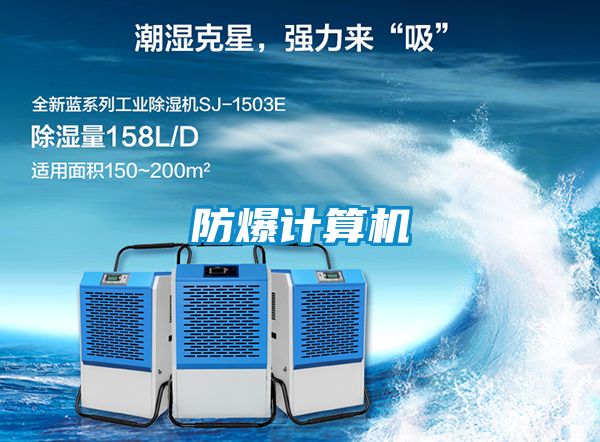 防爆計(jì)算機(jī)