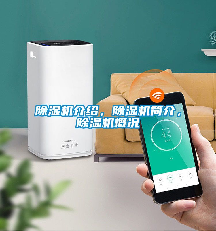 除濕機介紹，除濕機簡介，除濕機概況
