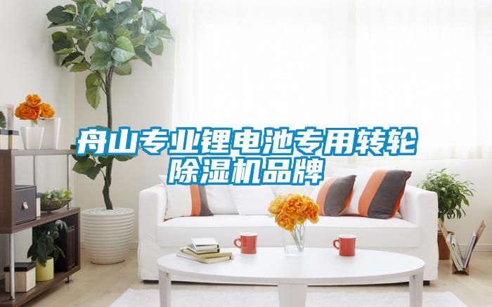 舟山專業鋰電池專用轉輪除濕機品牌