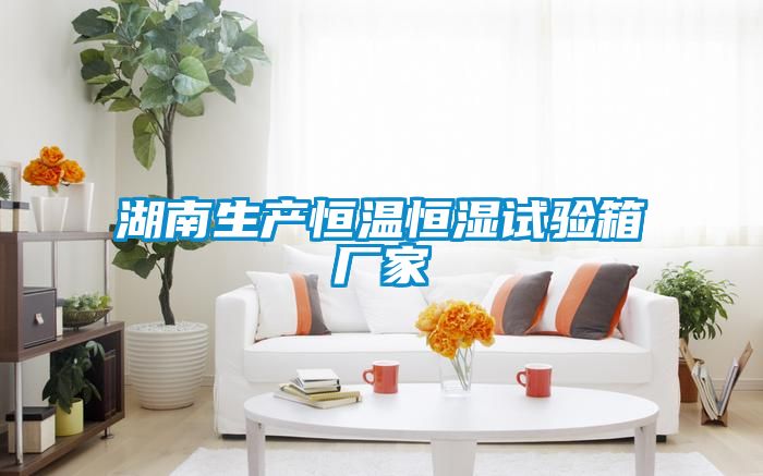 湖南生產(chǎn)恒溫恒濕試驗箱廠家